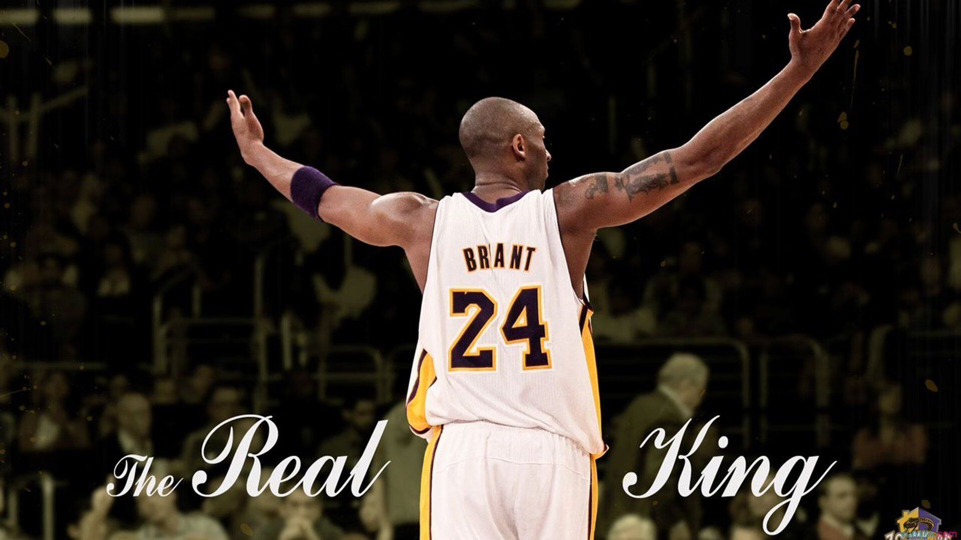 体育场馆智能化设施逐渐普及